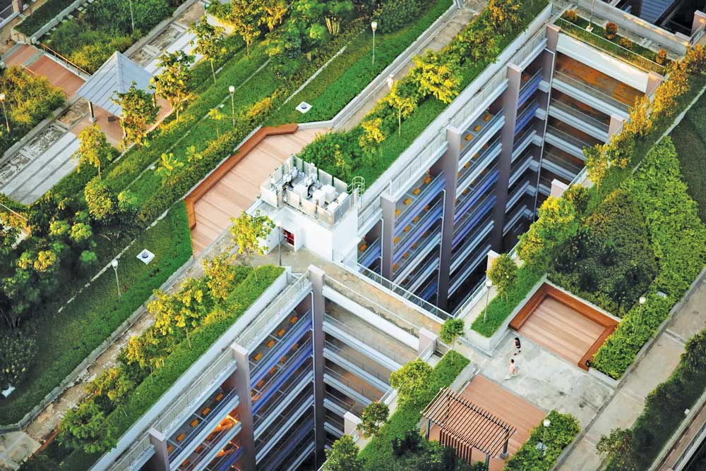 How REAL ESTATE SECTOR has taken the GREEN CHALLENGE